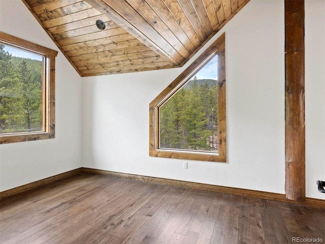 bonus room featuring vaulted ceiling, hardwood / wood-style floors, and wood ceiling