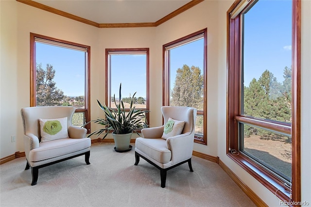 11541 Warrington Ct, Parker, CO 80138 - sunroom / solarium featuring ornamental molding, baseboards, and carpet