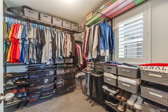 walk in closet with carpet