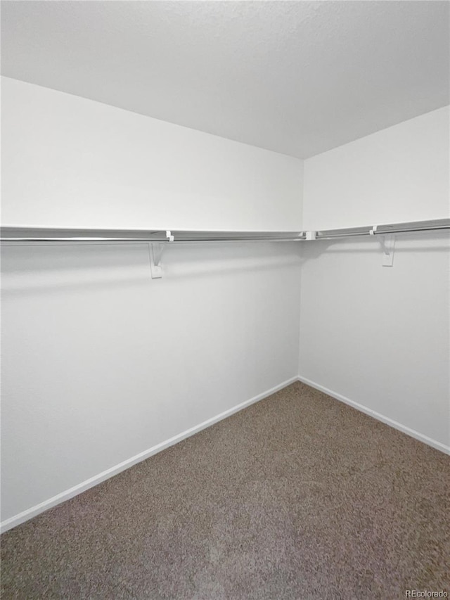 spacious closet with carpet