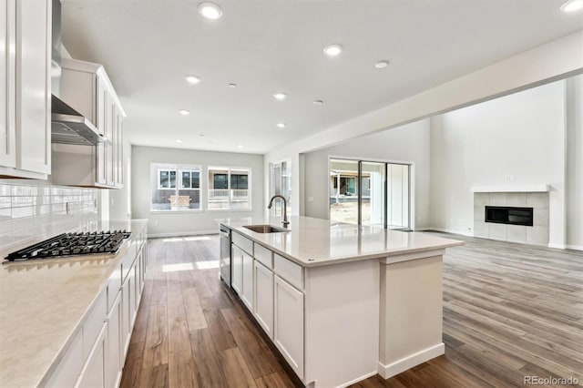 kitchen with a sink, tasteful backsplash, wood finished floors, stainless steel appliances, and a fireplace