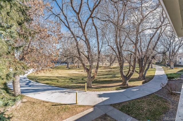 view of community featuring a lawn