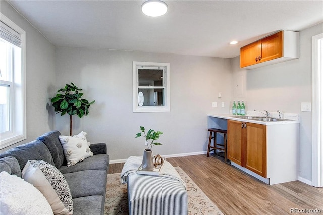 784 S 3rd Ave, Brighton, CO 80601 - living room featuring light wood-style flooring and baseboards