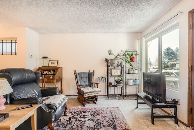 sitting room with light carpet and a textured ceiling