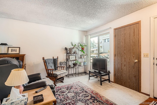 living area with a textured ceiling