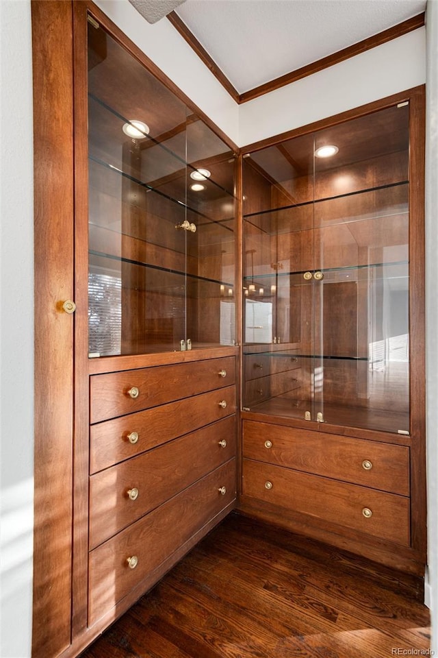 spacious closet with dark hardwood / wood-style flooring