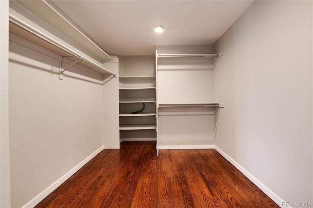 walk in closet featuring dark wood-type flooring