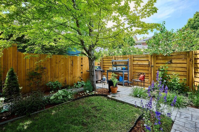 2723 Galena St, Denver, CO 80238 - fenced backyard with a patio