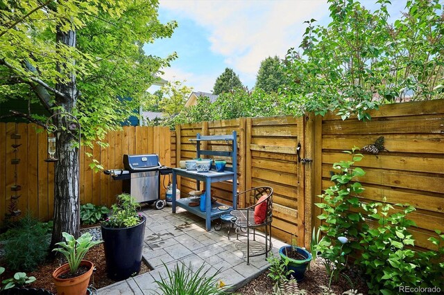 2723 Galena St, Denver, CO 80238 - fenced backyard featuring a patio area and a grill
