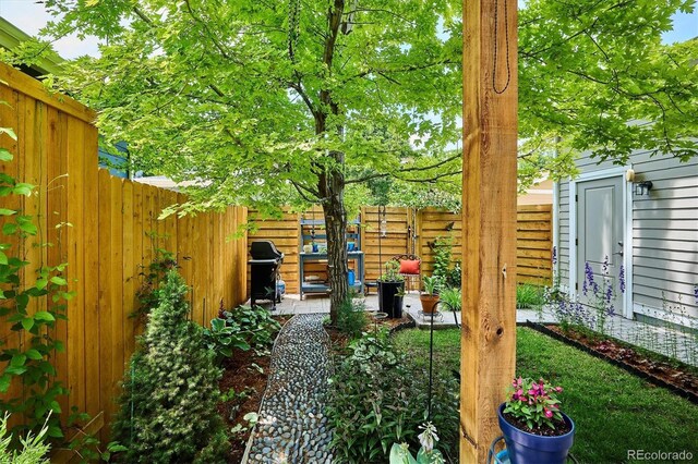 2723 Galena St, Denver, CO 80238 - view of yard with a patio