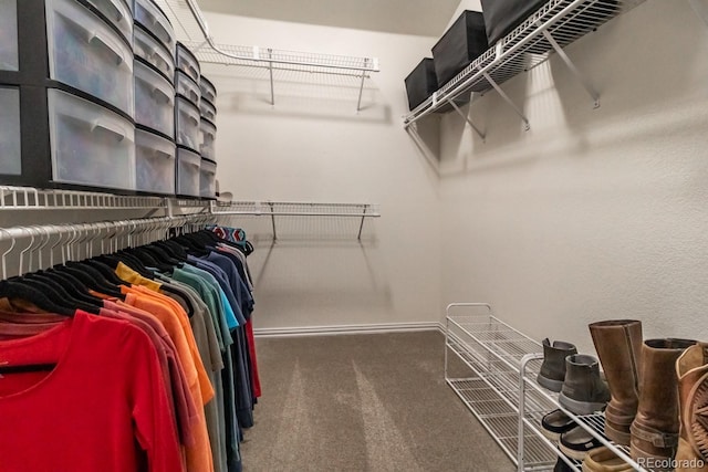 spacious closet with carpet