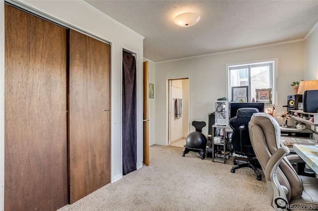 610 W 5th St, Loveland, CO 80537 - photo 23