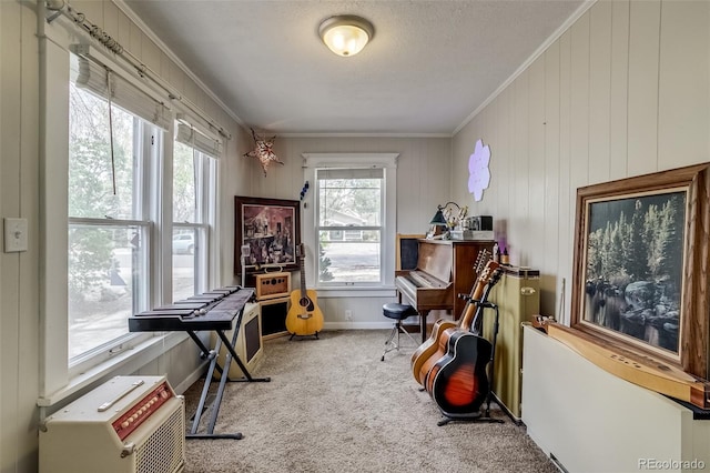 610 W 5th St, Loveland, CO 80537 - photo 24