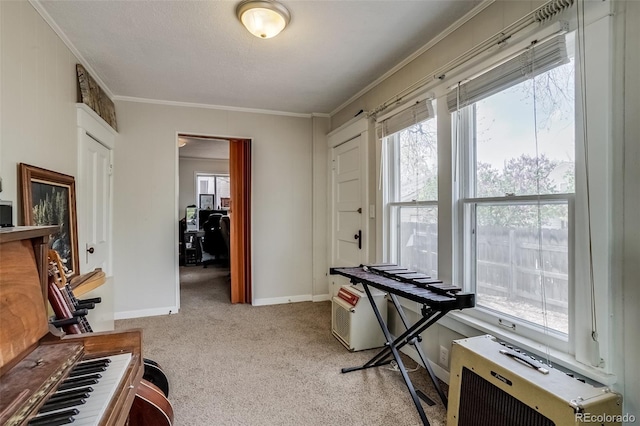 610 W 5th St, Loveland, CO 80537 - photo 26