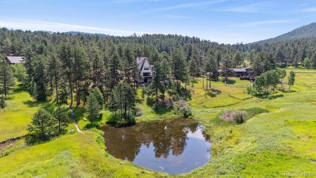 28195 Cragmont Dr, Evergreen, CO 80439 - photo 1