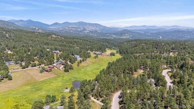 28195 Cragmont Dr, Evergreen, CO 80439 - photo 28