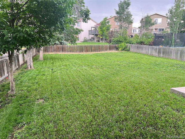 21767 Silver Meadow Ln, Parker, CO 80138 - view of fenced backyard