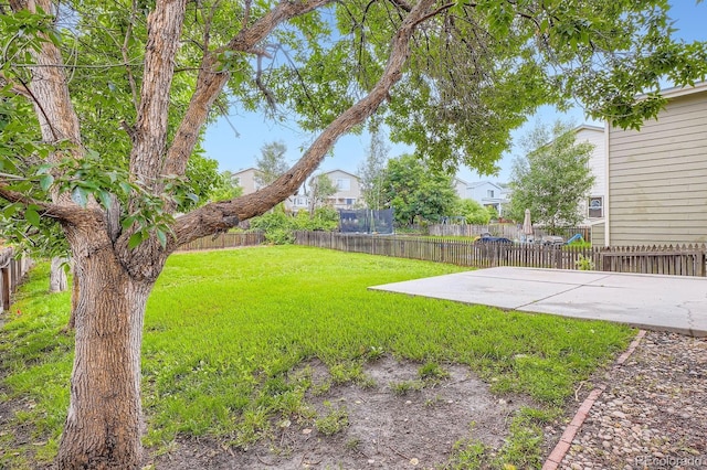 21767 Silver Meadow Ln, Parker, CO 80138 - fenced backyard with a patio and a residential view