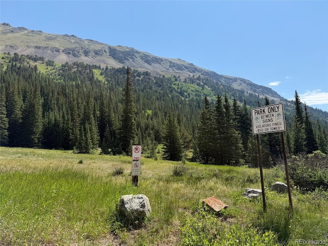 3802 Fourth Of July Rd, Nederland, CO 80466 - photo 1