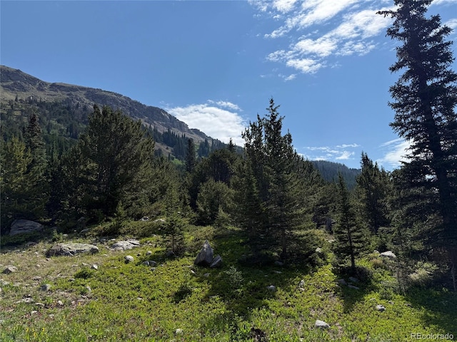 3802 Fourth Of July Rd, Nederland, CO 80466 - photo 2
