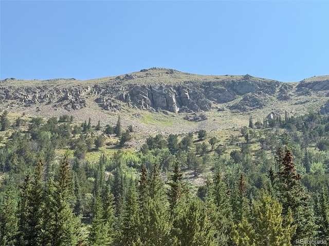 3802 Fourth Of July Rd, Nederland, CO 80466 - photo 3