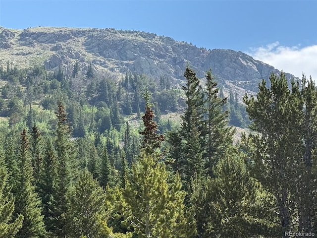 3802 Fourth Of July Rd, Nederland, CO 80466 - photo 5
