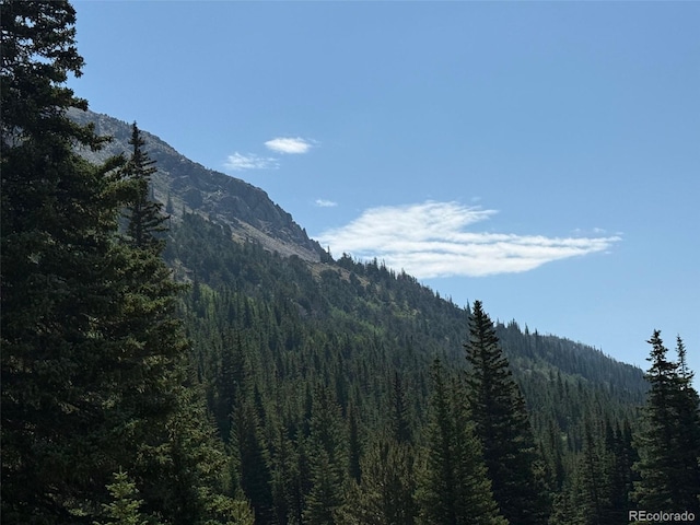 3802 Fourth Of July Rd, Nederland, CO 80466 - photo 7
