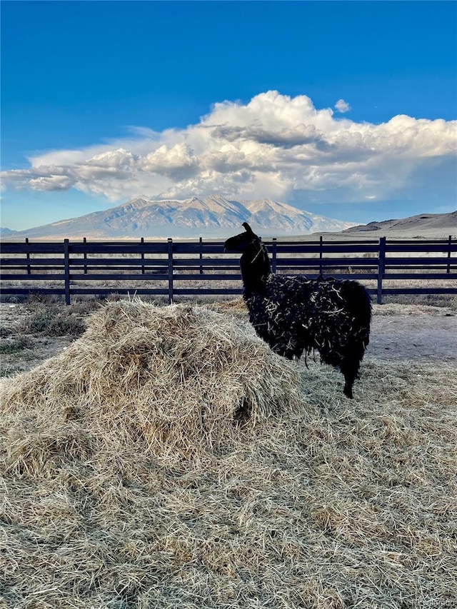 view of yard featuring a mountain view and a rural view