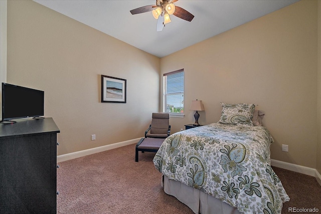 3881 W 149th Ave, Broomfield, CO 80023 - photo 27