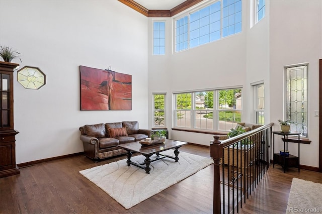7804 Silverweed Way, Lone Tree, CO 80124 - living area featuring a towering ceiling, baseboards, wood finished floors, and crown molding