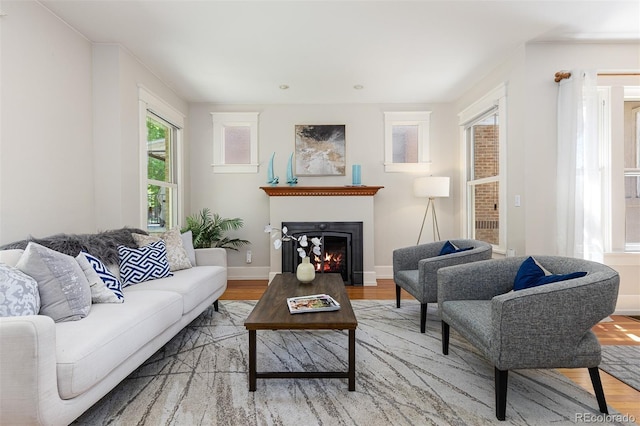 1121 S Ogden St, Denver, CO 80210 - living area featuring light wood-type flooring, a warm lit fireplace, and baseboards