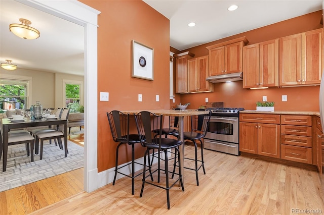 1121 S Ogden St, Denver, CO 80210 - kitchen featuring under cabinet range hood, stainless steel gas range, light wood-style flooring, recessed lighting, and light countertops