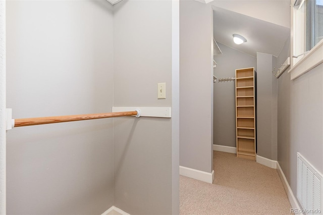 1121 S Ogden St, Denver, CO 80210 - walk in closet with carpet flooring