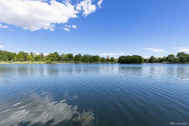 1121 S Ogden St, Denver, CO 80210 - water view