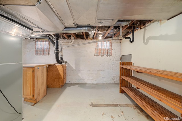 1121 S Ogden St, Denver, CO 80210 - view of below grade area