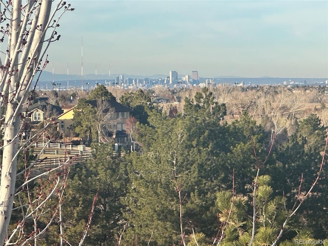 property view of mountains