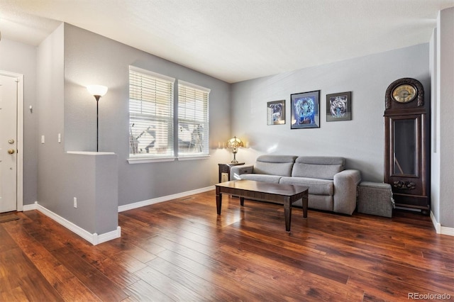 living room with dark hardwood / wood-style flooring