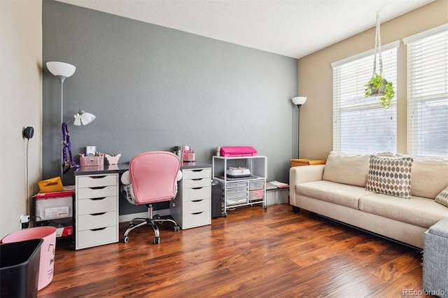 office featuring dark wood-type flooring