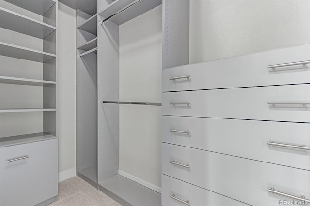 2436 Welton St, Denver, CO 80205 - photo 22