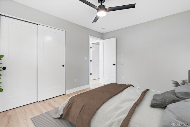 bedroom featuring ceiling fan and light hardwood / wood-style floors