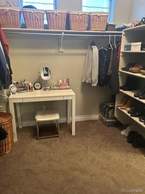 spacious closet featuring carpet flooring