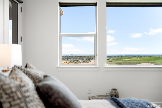 16262 W 95th Ln, Arvada, CO 80007 - bedroom with multiple windows