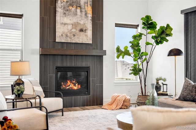16262 W 95th Ln, Arvada, CO 80007 - sitting room with wood finished floors and a glass covered fireplace
