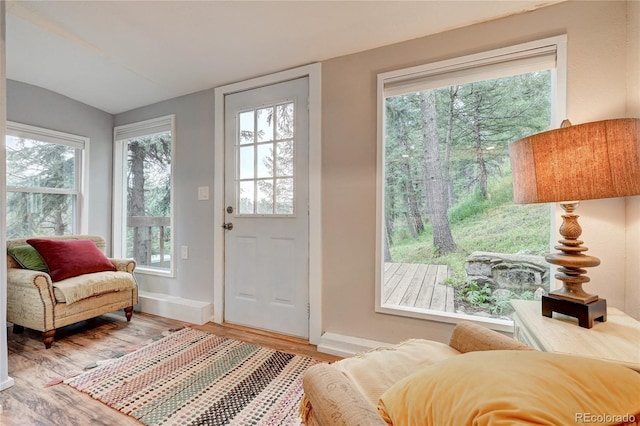 4642 Plettner Ln, Evergreen, CO 80439 - doorway with wood finished floors, baseboards, and plenty of natural light