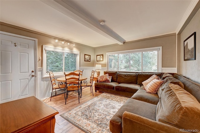 4642 Plettner Ln, Evergreen, CO 80439 - living room with healthy amount of natural light, a wainscoted wall, crown molding, light wood-type flooring, and beamed ceiling
