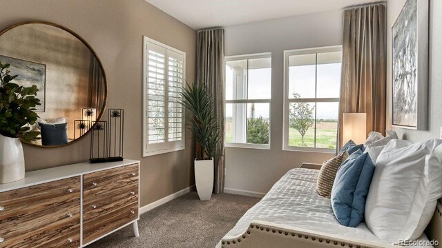16468 W 92nd Pl, Arvada, CO 80007 - bedroom featuring carpet flooring and multiple windows