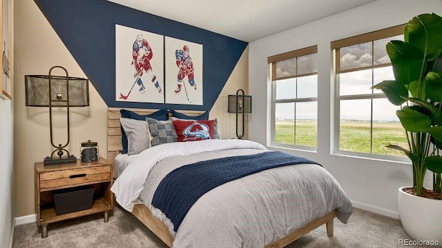 16468 W 92nd Pl, Arvada, CO 80007 - bedroom featuring carpet and baseboards