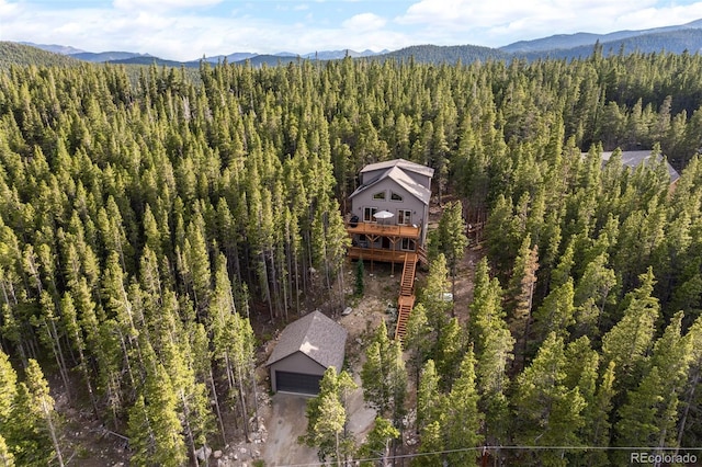 258 Upper Forest Rd, Idaho Springs, CO 80452 - photo 2