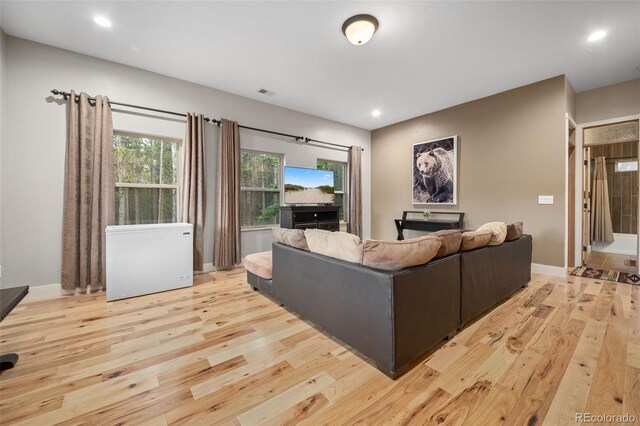 258 Upper Forest Rd, Idaho Springs, CO 80452 - photo 4