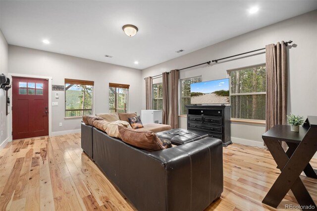 258 Upper Forest Rd, Idaho Springs, CO 80452 - photo 5